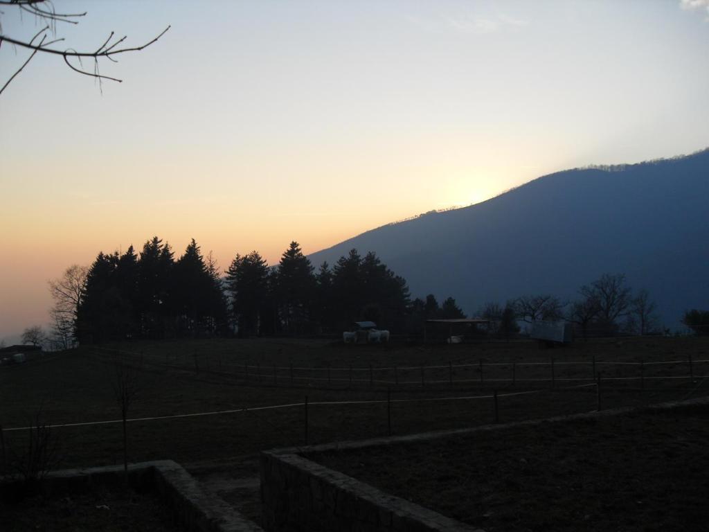 Agriturismo Le Vigne Villa Montale  Oda fotoğraf