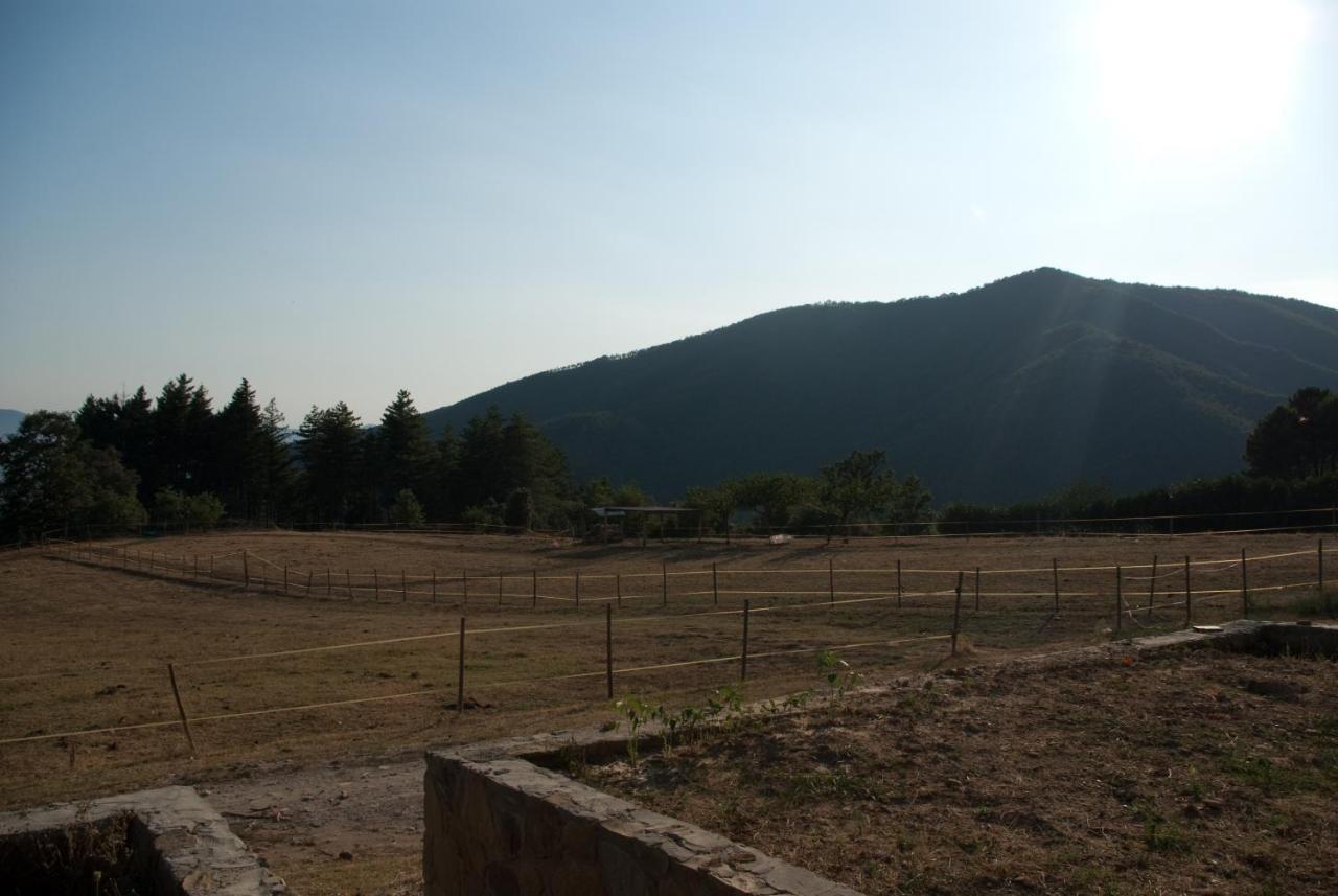 Agriturismo Le Vigne Villa Montale  Dış mekan fotoğraf